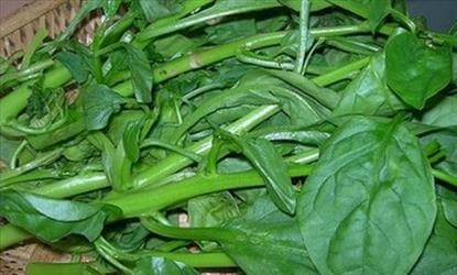 பசலைக்கீரையின் நற்குணங்கள்.....